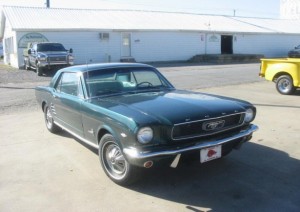 mustang1