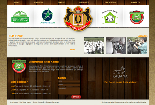 reino_animal